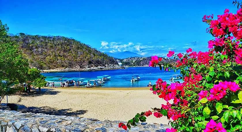 Imagen top del paquete